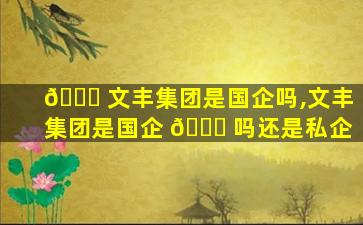 🐞 文丰集团是国企吗,文丰集团是国企 💐 吗还是私企